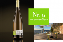 Syvaner-Composing_25